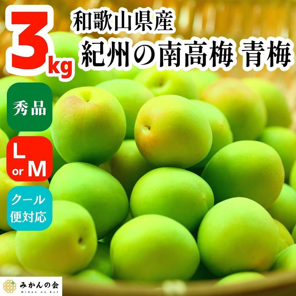【2025年6月上旬出荷】青梅 南高梅 3kg 秀品 LまたはMサイズ 和歌山県産 A品 梅酒作り用 梅ジュース作り用
