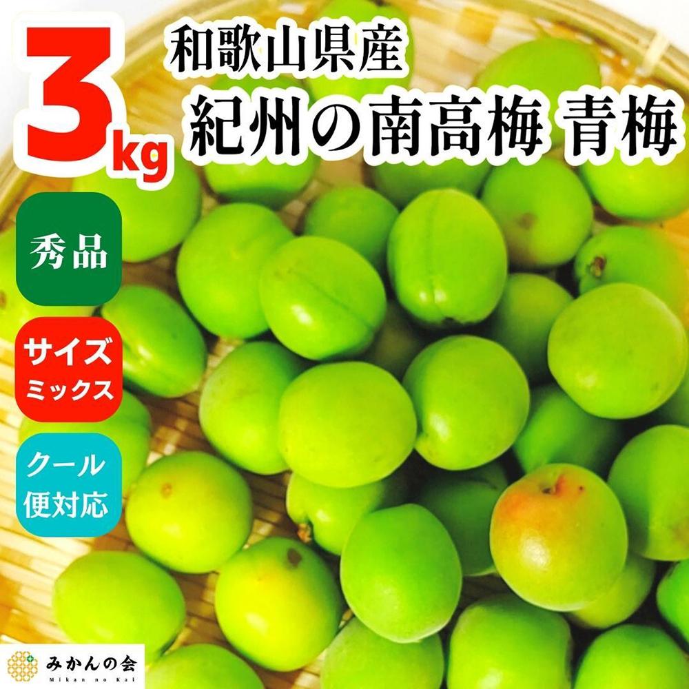 【2025年6月上旬出荷】青梅 南高梅 3kg 秀品 サイズミックス  和歌山県産 A品 梅酒作り用 梅ジュース作り用