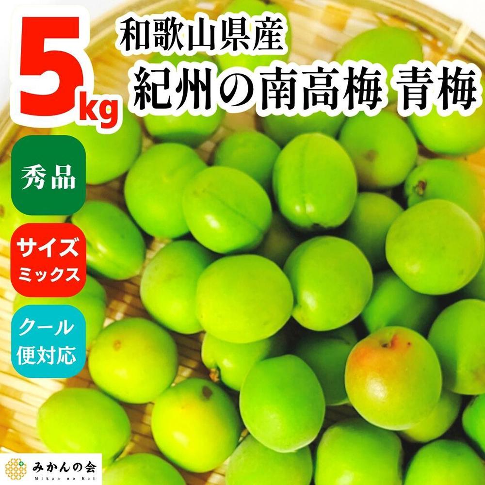 【2025年6月上旬出荷】青梅 南高梅 5kg 秀品 サイズミックス 和歌山県産 A品 梅酒作り用 梅ジュース作り用