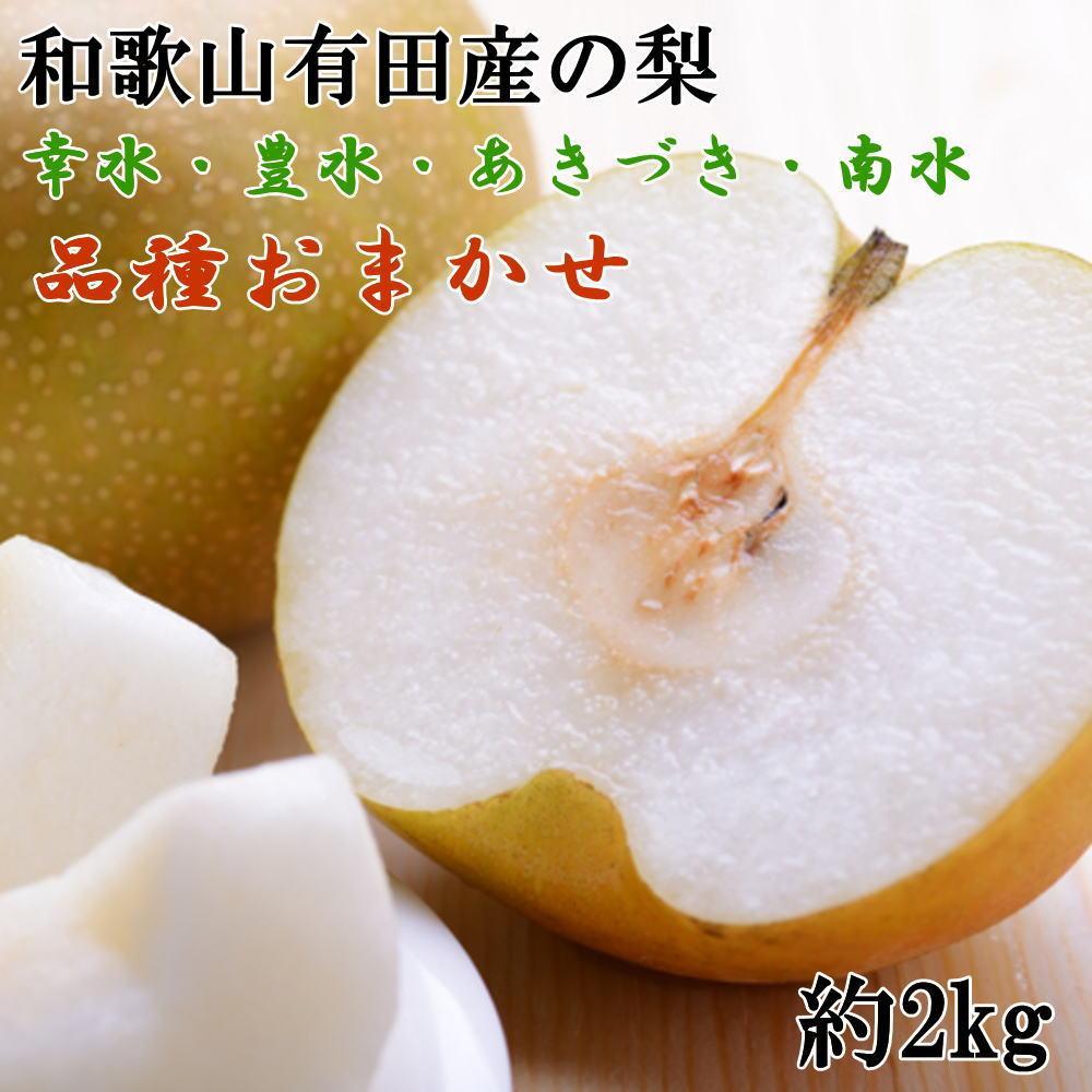 【産直】和歌山有田産の梨約2kg(品種おまかせ)★2026年8月上旬頃より順次発送
