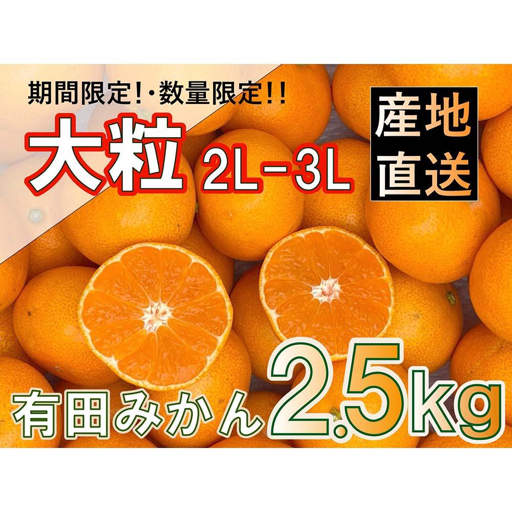 ［先行受付2025年］和歌山県産 有田みかん 大粒サイズ 2.5kg