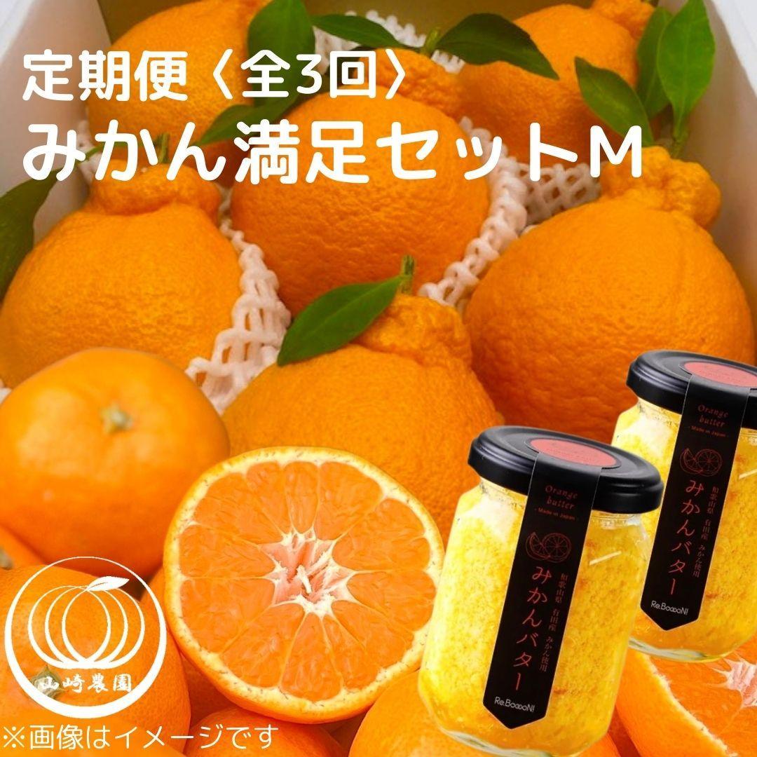 みかん満足セットM | 定期便 全3回 フルーツ みかん 不知火 みかんバター 12月~2月