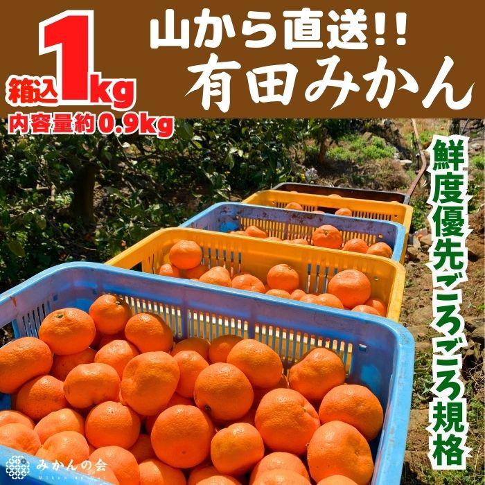 みかん 山から直送 箱込 約1kg(内容量約 0.9kg) サイズミックス 和歌山県産 産地直送 家庭用［2025年11月中旬より2026年1月中旬頃順次出荷予定］［みかんの会］