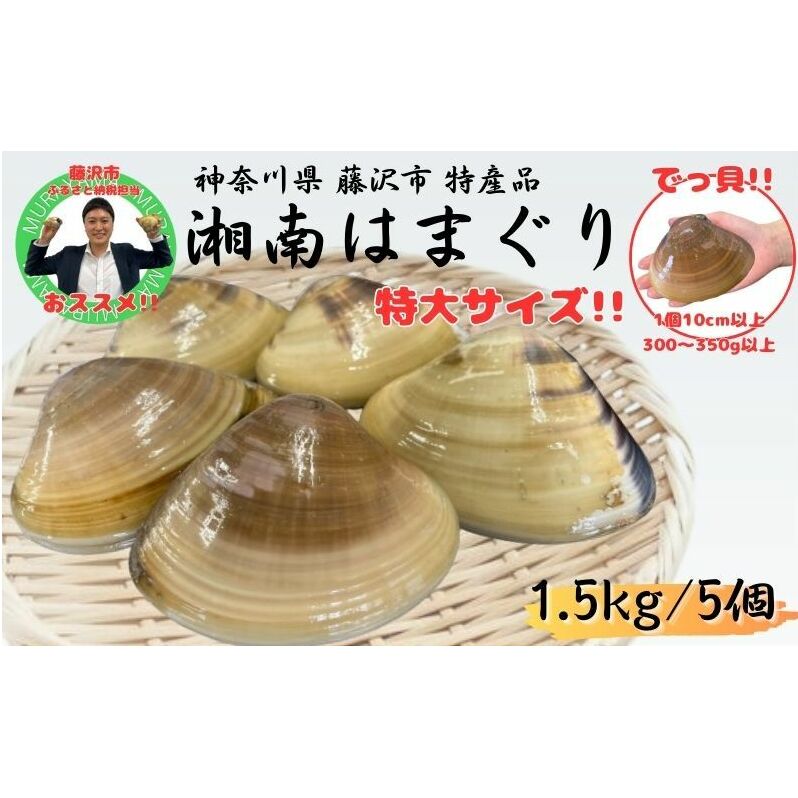 湘南はまぐり 1.4kg 5から6個 冷凍 焼き蛤 酒蒸し お吸い物 炊き込みご飯 パスタ 江の島 江ノ島 A1