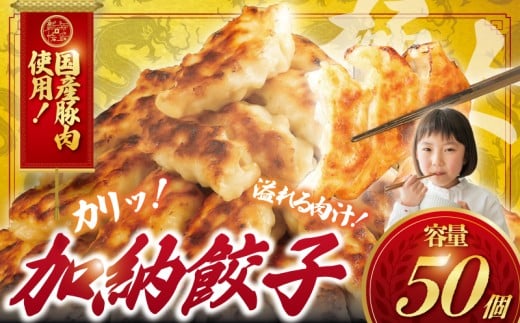 ぎょうざ 餃子 50個 肉汁 旨い パック 豚肉 ぶた 野菜 焼き餃子 水餃子  国産豚  豚肉 野菜 ギョーザ gyouza 冷凍餃子 冷凍ぎょうざ ぶたにく 生餃子 冷凍 ご飯 おかず 夕食 おつまみ 晩酌 簡単調理 時短 簡易包装 手作り餃子 冷凍 冷凍食品 中華 加納食堂 神奈川 湘南 藤沢