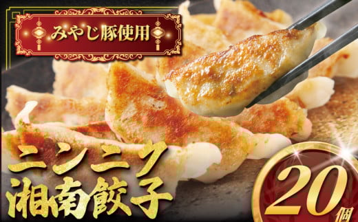 肉汁たっぷり にんにく餃子 20個入り みやじ豚 冷凍餃子 ブランド豚 100% ニンニク 餃子 ぎょうざ ギョウザ ギョーザ ぎょーざ 焼き餃子 水餃子 gyouza おつまみ おかず 一口 お惣菜 ごはんのお供 国産 中華 お取り寄せ ギフト お土産 冷凍 加工 食品 神奈川 湘南 藤沢