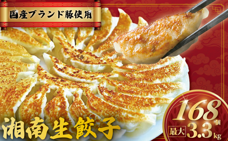 餃子 湘南ぎょうざ 168個 (42個×4パック) 国産 ブランド豚 ルイビ豚 肉汁たっぷり 豚肉 焼き餃子 ぎょーざ ギョーザ ぎょうざ 冷凍餃子 こだわり餃子 生餃子 ごはんのお供 晩酌のお供 簡単調理 時短 冷凍 小分け 簡易包装 手作り餃子 冷凍食品 湘南ぎょうざのサノフーズ 神奈川 湘南 藤沢