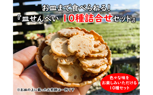 お皿まで食べられる!八百津せんべい「皿せんべい」詰合せ 10種セット