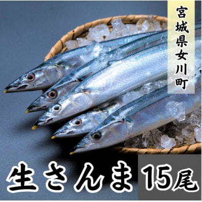 生さんま　15尾【配送不可地域：離島・北海道・沖縄・信越、北陸・近畿・中国・四国・九州】【1642728】