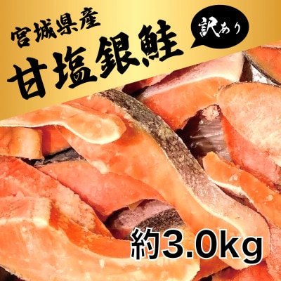 訳あり 銀鮭切身(甘塩)約3kg / 宮城県 女川町【配送不可地域:離島】【1641035】