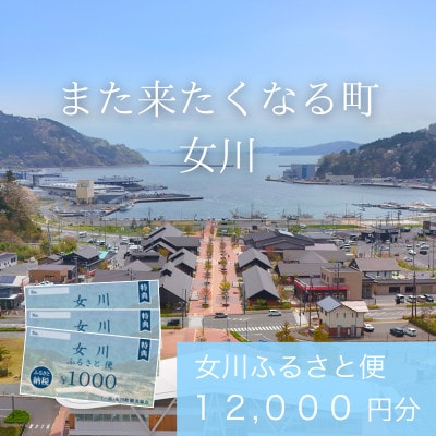 「女川ふるさと便」1000円分×12枚【1674173】