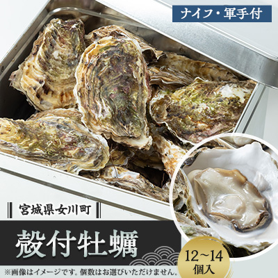 潮香焼セット(殻付き牡蠣・カンカン焼き)ナイフ・軍手入り【配送不可地域:離島・沖縄・九州】【1312854】
