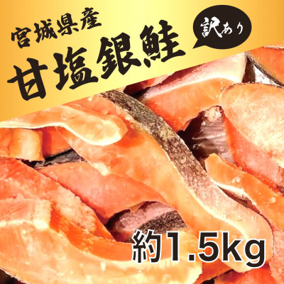 訳あり 銀鮭 宮城県産 甘塩 切身 約1.5kg 国産 / 宮城県 女川町【配送不可地域:離島】【1525306】