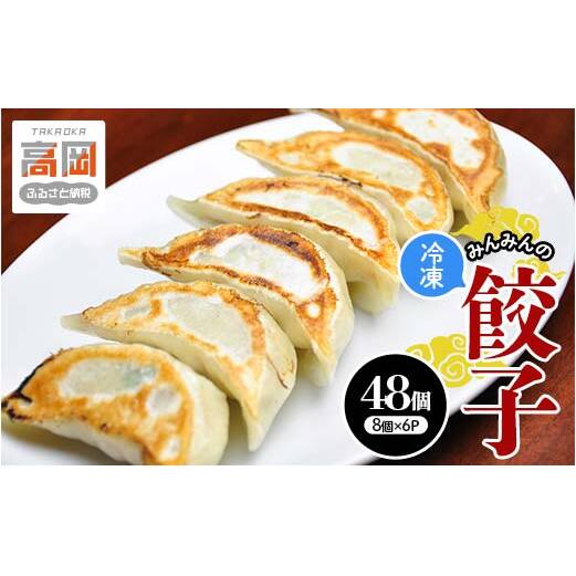 みんみんの餃子48個 (8コ×6パック) 餃子専門店 みんみん みんみん餃子 ギョーザ ぎょうざ ギョウザ 富山 惣菜 おかず 中華 点心 冷凍 冷凍食品 肉加工品 加工品 富山県高岡市 FAD-1460