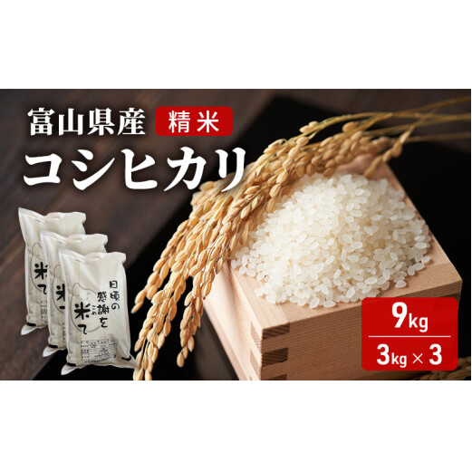 米 日頃の感謝を米て　9kg（3kg×3）コシヒカリ 精米 白米 お米 こめ コメ 富山県 高岡市 FAD-1426