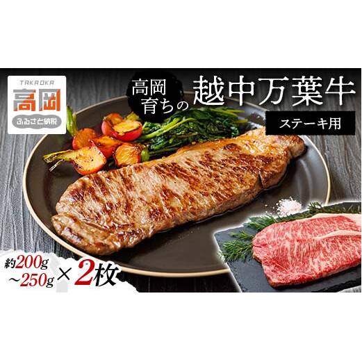 高岡育ちの越中万葉牛 ステーキ用200g～250g×2枚 サーロイン 肉 牛肉 ステーキ 国産 富山 お肉 サーロインステーキ  FAD-0076