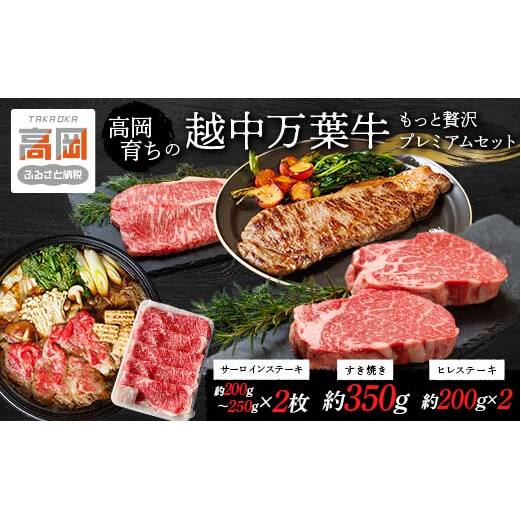 高岡育ちの越中万葉牛 もっと贅沢プレミアムセット サーロイン ヒレ ステーキ すき焼き すきやき スキヤキ 国産 肉 牛 富山 牛肉 お肉  FAD-0079