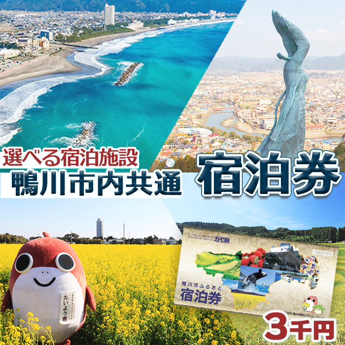 【千葉県鴨川市】市内宿泊施設『共通宿泊券』３千円相当　[0010-0352]