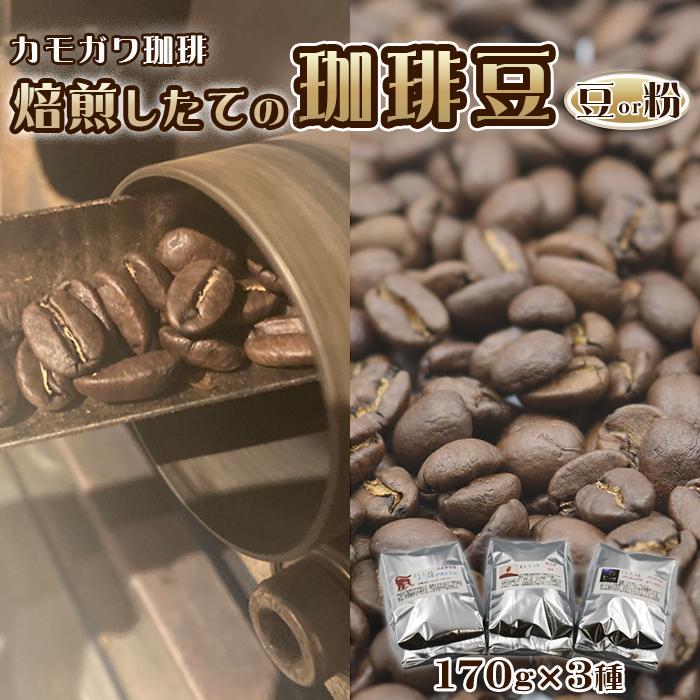【カモガワ珈琲】焙煎したてのコーヒー豆 ３種（170g×３袋）《豆》　[0016-0022]