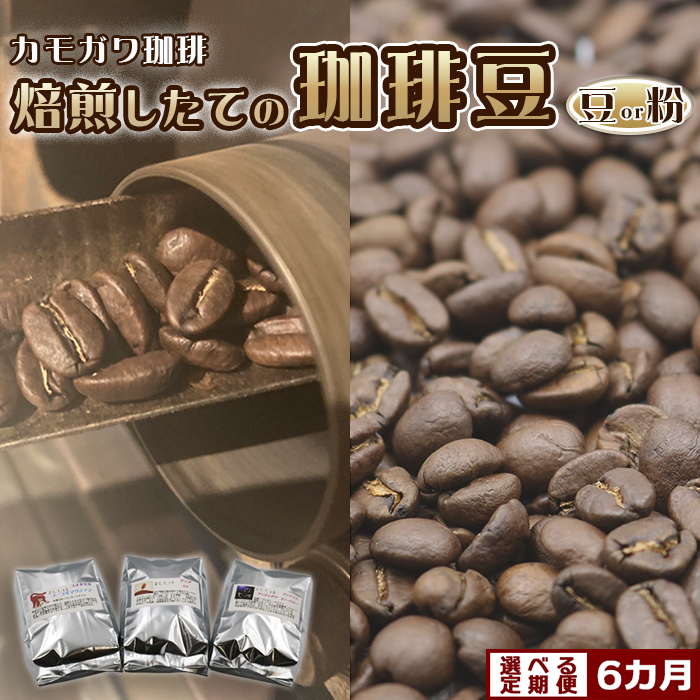 【カモガワ珈琲の定期便】焙煎したてのコーヒー豆 ３種（170g×３袋）６カ月《粉・隔月発送》　[0096-0001]