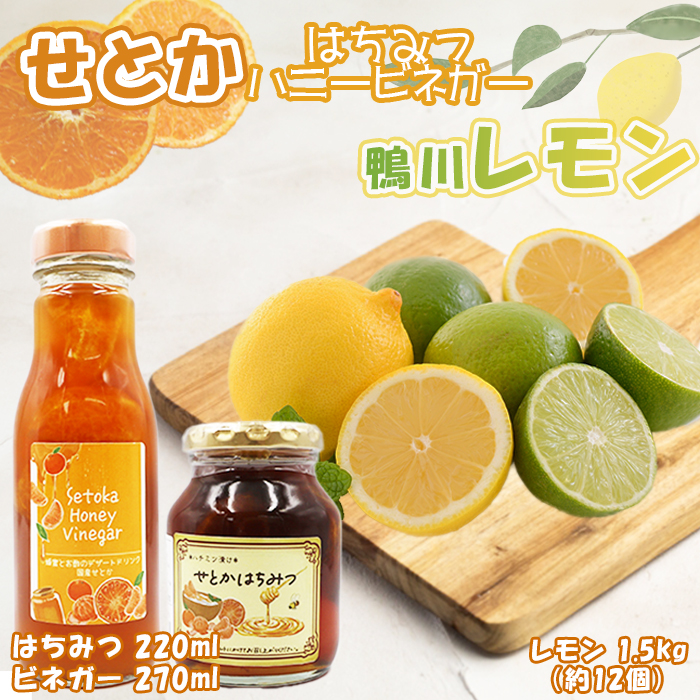 【数量・期間限定】せとかフルーツ調味料＆鴨川レモンセット（ビネガー・はちみつ各１本・レモン1.5kg）　[0012-0067]
