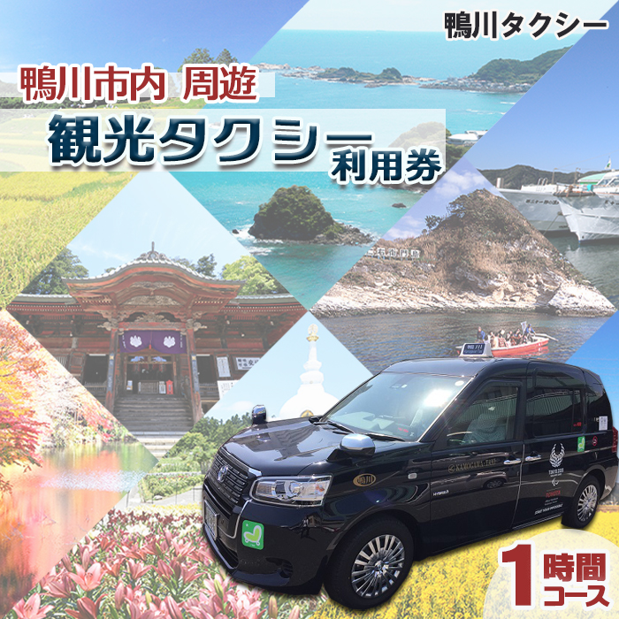 【千葉県鴨川市】観光タクシー貸切利用券 １時間（定員４名／１台）　[0026-0007]