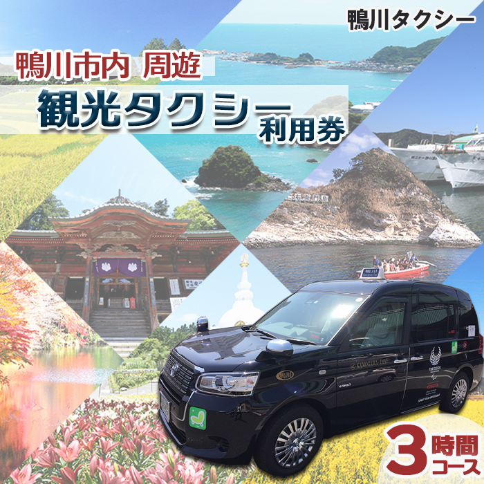 【千葉県鴨川市】観光タクシー貸切利用券 ３時間（定員４名／１台）　[0078-0002]