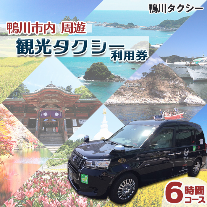 【千葉県鴨川市】観光タクシー貸切利用券 ６時間（定員４名／１台）　[0156-0001]