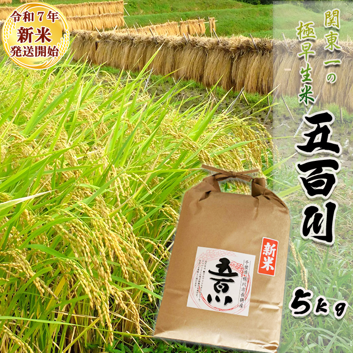 《令和７年産 新米》【米屋新蔵】関東一の極早生米『五百川』５kg　[0016-0026]