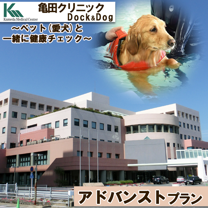 【亀田クリニック Dock&Dog】アドバンストプラン　１名様（平日限定１泊２食付） 　[0647-0001]