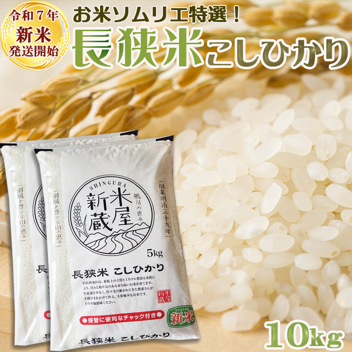 《令和７年産 新米》【米屋新蔵】お米ソムリエ特選『長狭米コシヒカリ』10kg　[0032-0006]