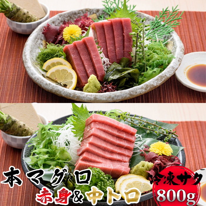 【プロが厳選！】本マグロ 赤身400g&中トロ400g [0038-0005]