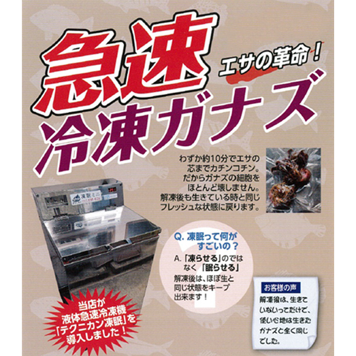 【近江屋釣具店】鴨川産 急速冷凍ガナズ(石鯛用釣りエサ)[0009-0033]