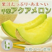 【高橋メロン農園】千葉アクアメロン L玉以上 × 1個 [0010-0097]