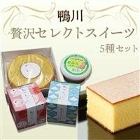 【鴨川発】贅沢セレクトスイーツ ５種セット [0018-0006]