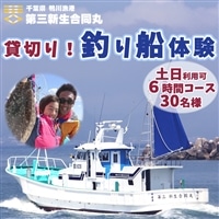 【第三新生合同丸】貸切り！釣り船体験コース(土日利用可6時間30名様まで) [1200-0001]