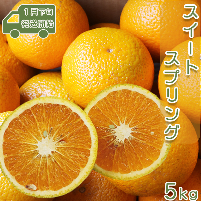 【先行予約・数量限定】刈込園芸『鴨川スイートスプリング』 ５kg（20～25個）　[0010-0210]