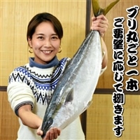 [日時指定必須]ブリ丸ごと一本！(さばき方が選べます) [0050-0049]