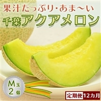 【定期便】高橋メロン農園『千葉アクアメロン』M玉以上 2個 × 12回発送 [0200-0024]