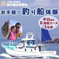 【第三新生合同丸】お手軽！釣り船体験コース(平日限定6時間1名様) [0040-0009]