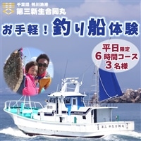 【第三新生合同丸】お手軽！釣り船体験コース(平日限定6時間3名様まで) [0120-0006]