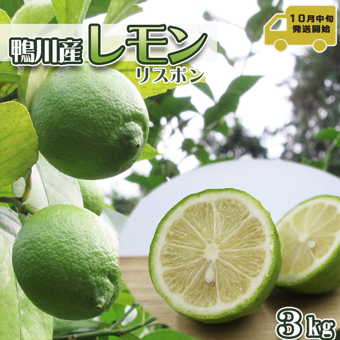 【令和7年10月下旬発送／先行予約】刈込園芸 鴨川産レモン『リスボン』３kg　[0010-0277]