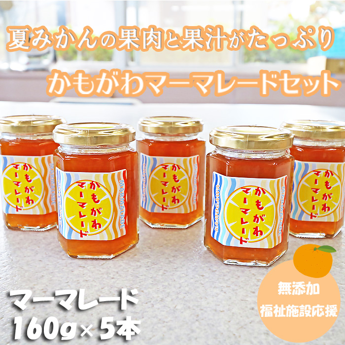 【福祉施設応援】夏みかんマーマレード５個セット [0010-0308]