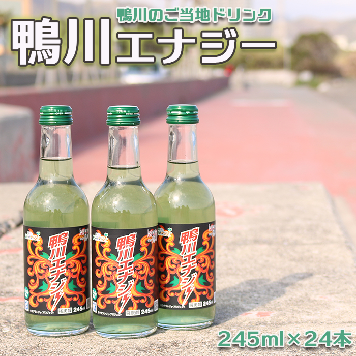 【鴨川のご当地ドリンク】鴨川エナジー 245ml × 24本 [0020-0081]