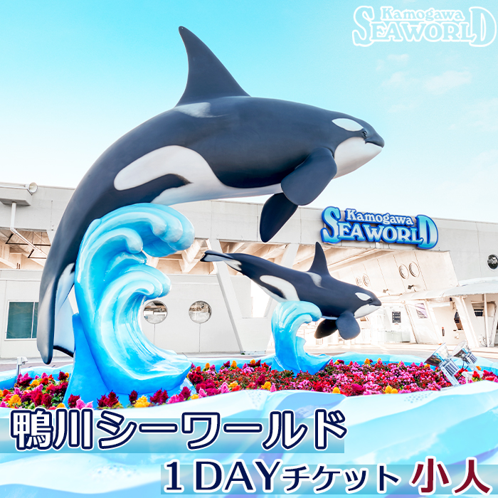 [鴨川シーワールド]1Dayチケット 小人(小学生・中学生)1枚 [0008-0042]