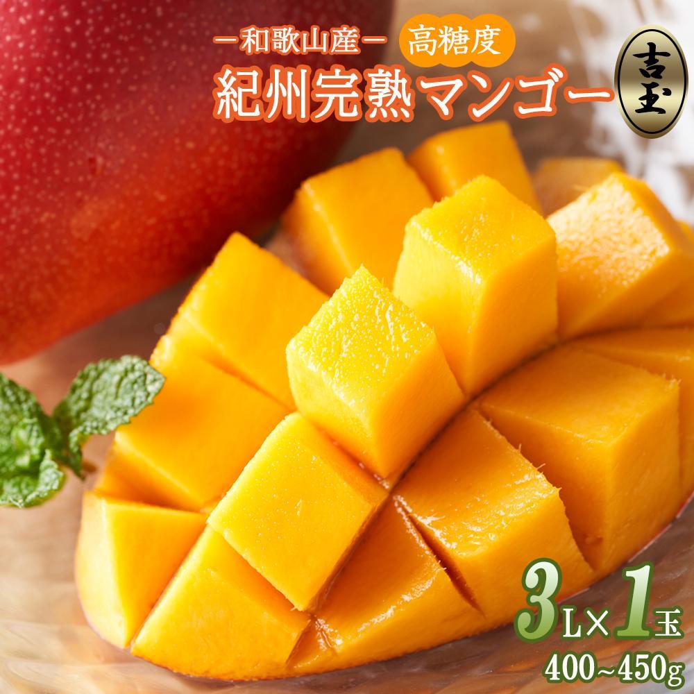 ◆先行予約◆和歌山県産 紀州完熟マンゴー『吉玉』1玉入り【2025年7月中旬から8月下旬頃順次発送予定】［MG21］