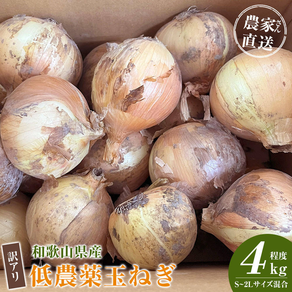 ［2026年発送分・先行予約］訳あり 農家さん直送 低農薬玉ねぎ 4kg程度 S～2L混合［4月中旬～7月中旬頃発送予定］ご家庭用 ※傷有り［KF19］
