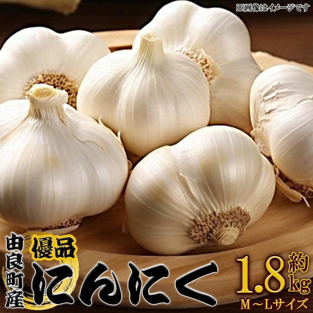 由良町産にんにく 優品 約1.8kg(900g×2/M~Lサイズ)【SL18】