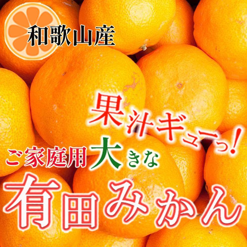 家庭用 大きな有田みかん2.5kg+250g（傷み補償分）［2025年11月中旬から2026年1月下旬頃順次発送予定］［IKE222］