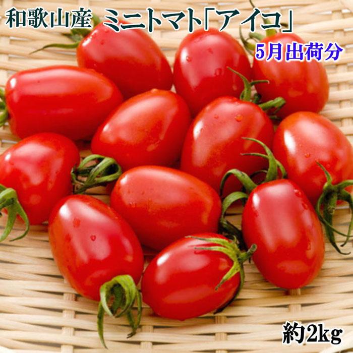 ［2026年5月出荷分］和歌山産ミニトマト「アイコトマト」約2kg（S・Mサイズおまかせ）［TM165］